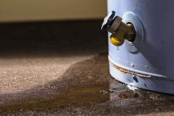 Best Mold removal after water damage  in Camdenton, MO