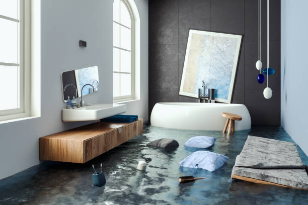 Best Water damage contractors near me  in Camdenton, MO