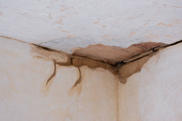 Best Commercial water damage restoration  in Camdenton, MO