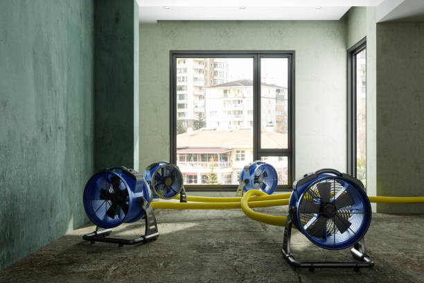 Best Basement water damage restoration  in Camdenton, MO